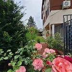 Happy * Miskolc