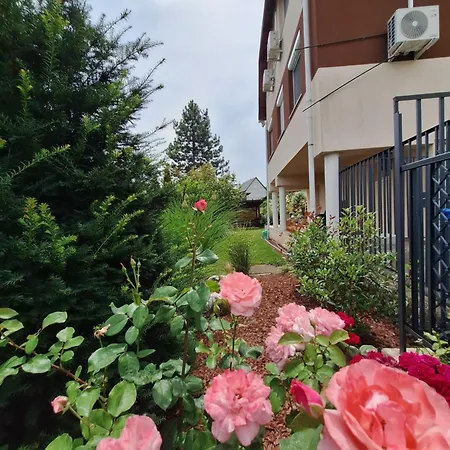 Happy * Miskolc