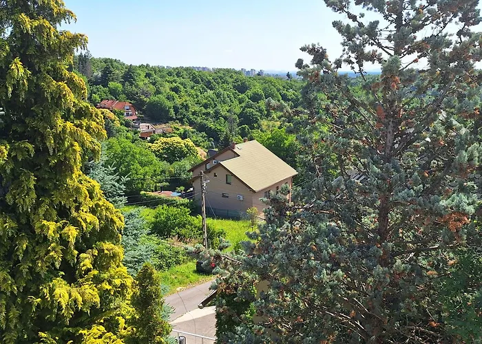Happy